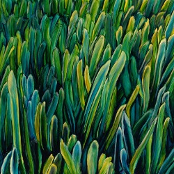 Cover von Gengahr; gemaltes Bild, Close-up von Grashalmen