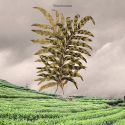 TELECHINESE - Ritterehre (feat. Melsch und AzudemSK)