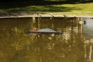 Wasserbecken mit Dreieck in der Mitte, darauf eine Blume